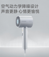 飛科FH6311/6312電吹風