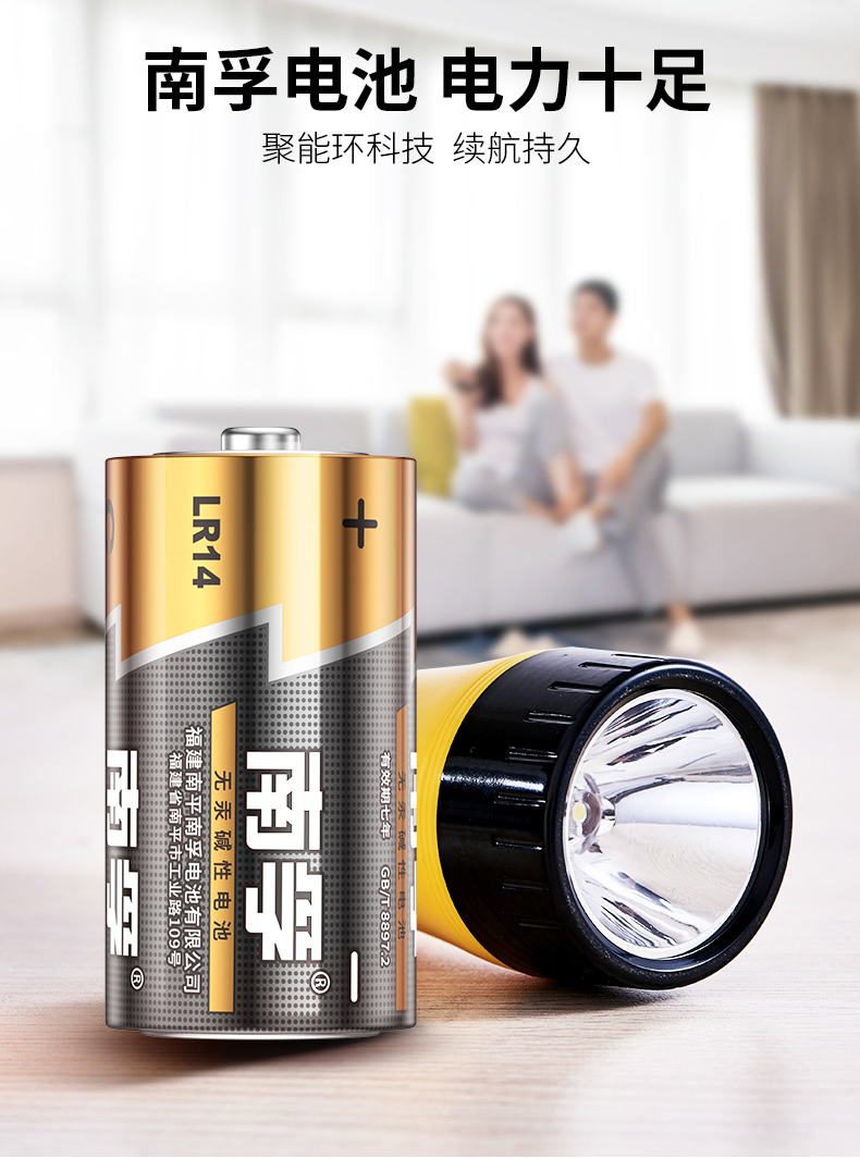 南孚LR14-2B 2號電池2pcs *12